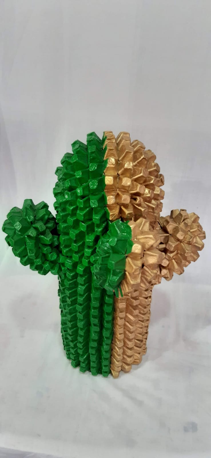 Cactus maché
