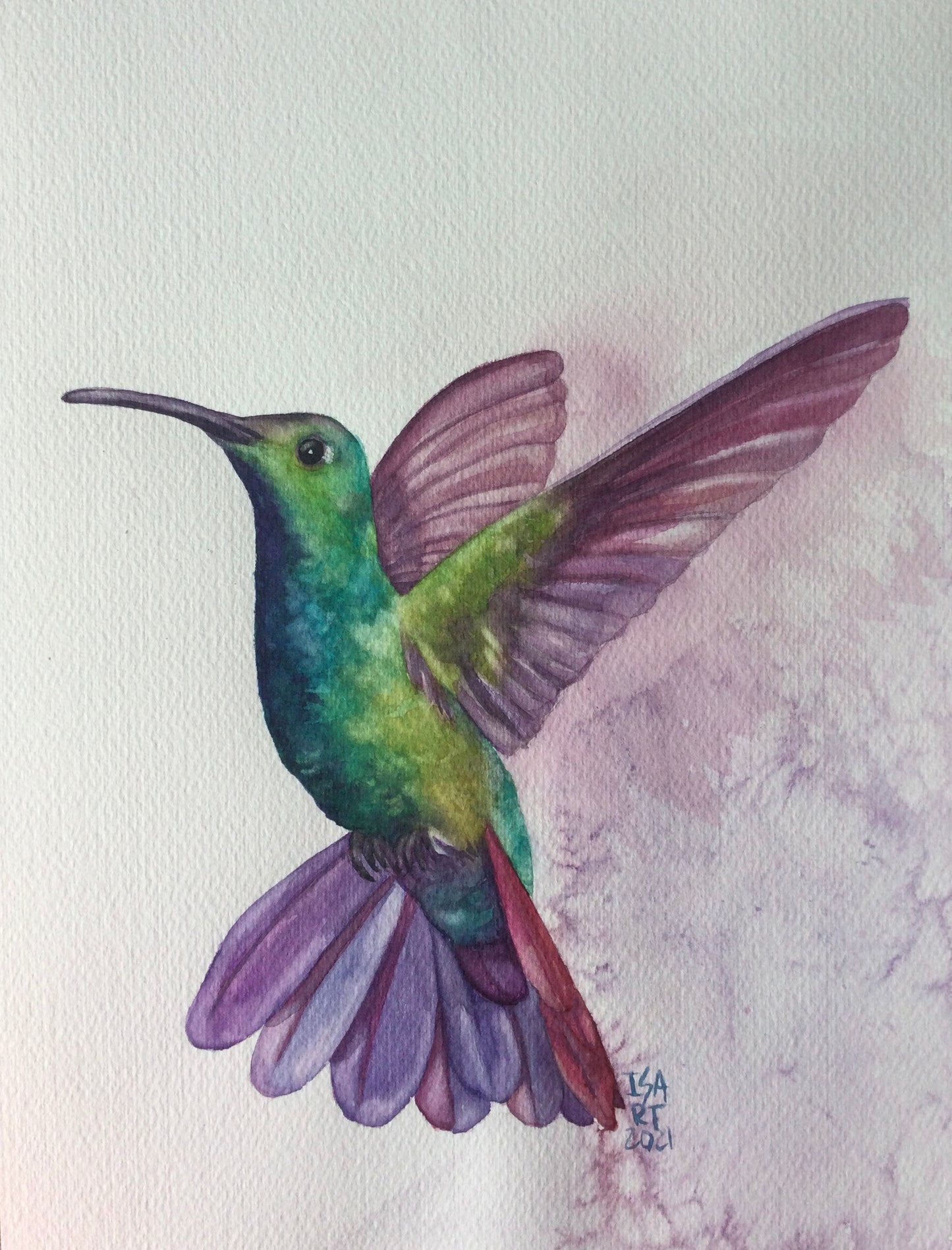 Colibrí Verde