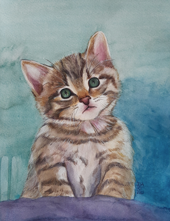 Serie Gatuna