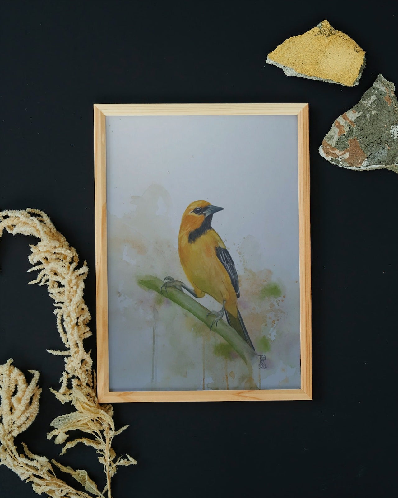 Turpial Amarillo