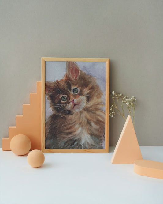Lindo Gatito