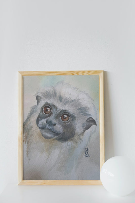 Mono Titi