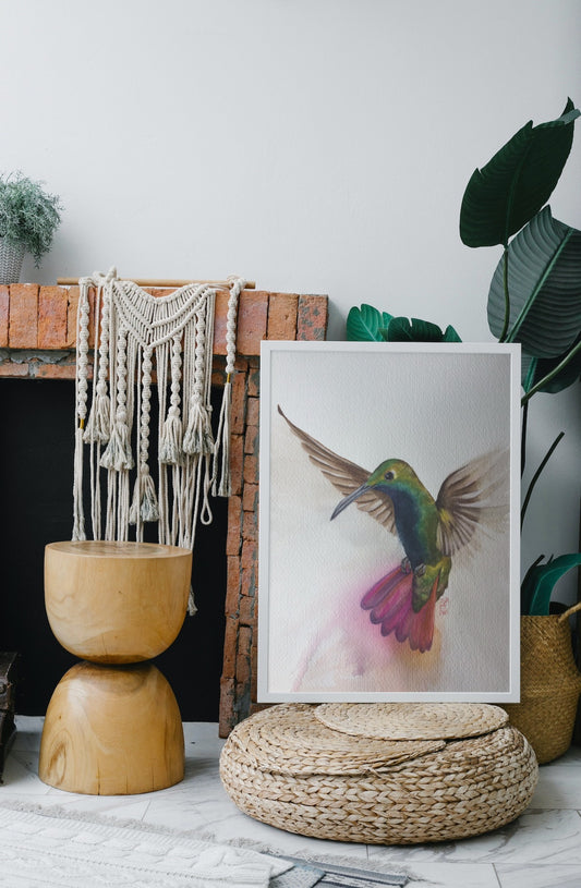 Colibrí Multicolor